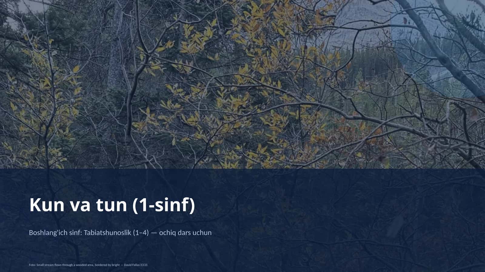 Kun va tun (1-sinf)