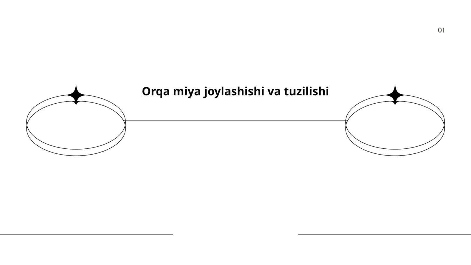 Orqa miya joylashishi va tuzilishi