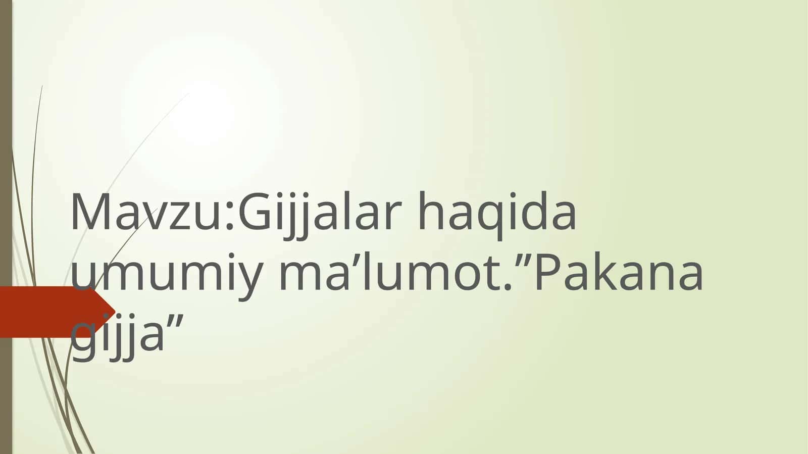 Gijjalar haqida umumiy ma’lumot.’’Pakana gijja’’