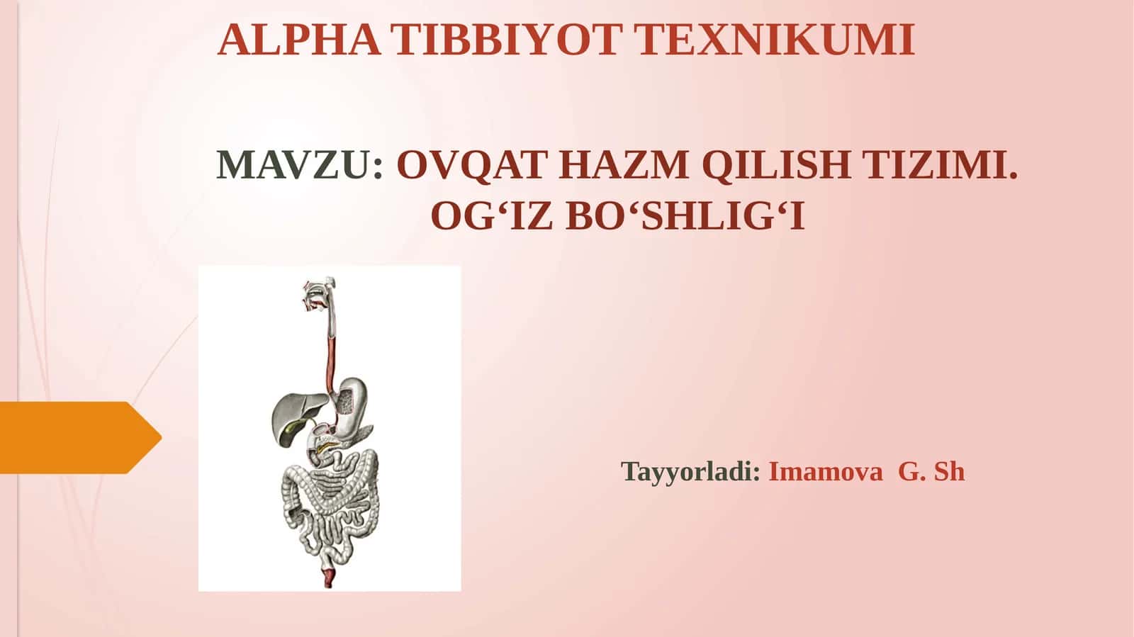 OVQAT HAZM QILISH TIZIMI.OG‘IZ BO‘SHLIG‘I