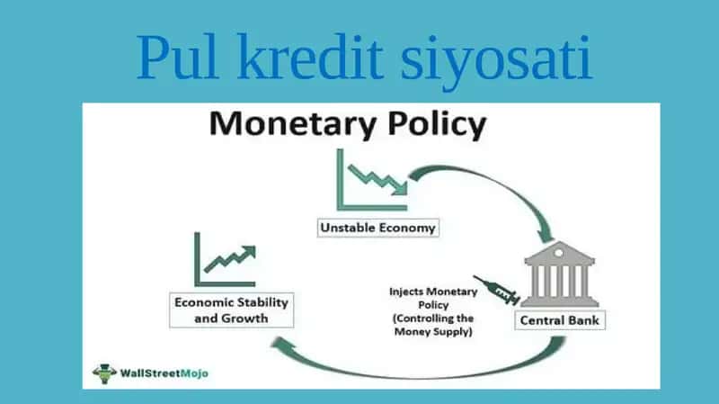 Pul kredit siyosati