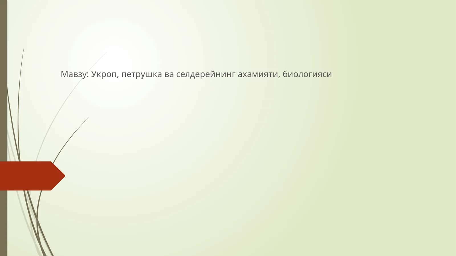 Оддий фенхель (дорихона укропи)
