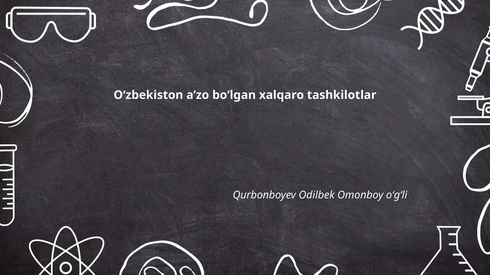 Birlashgan Millatlar Tashkiloti (BMT)