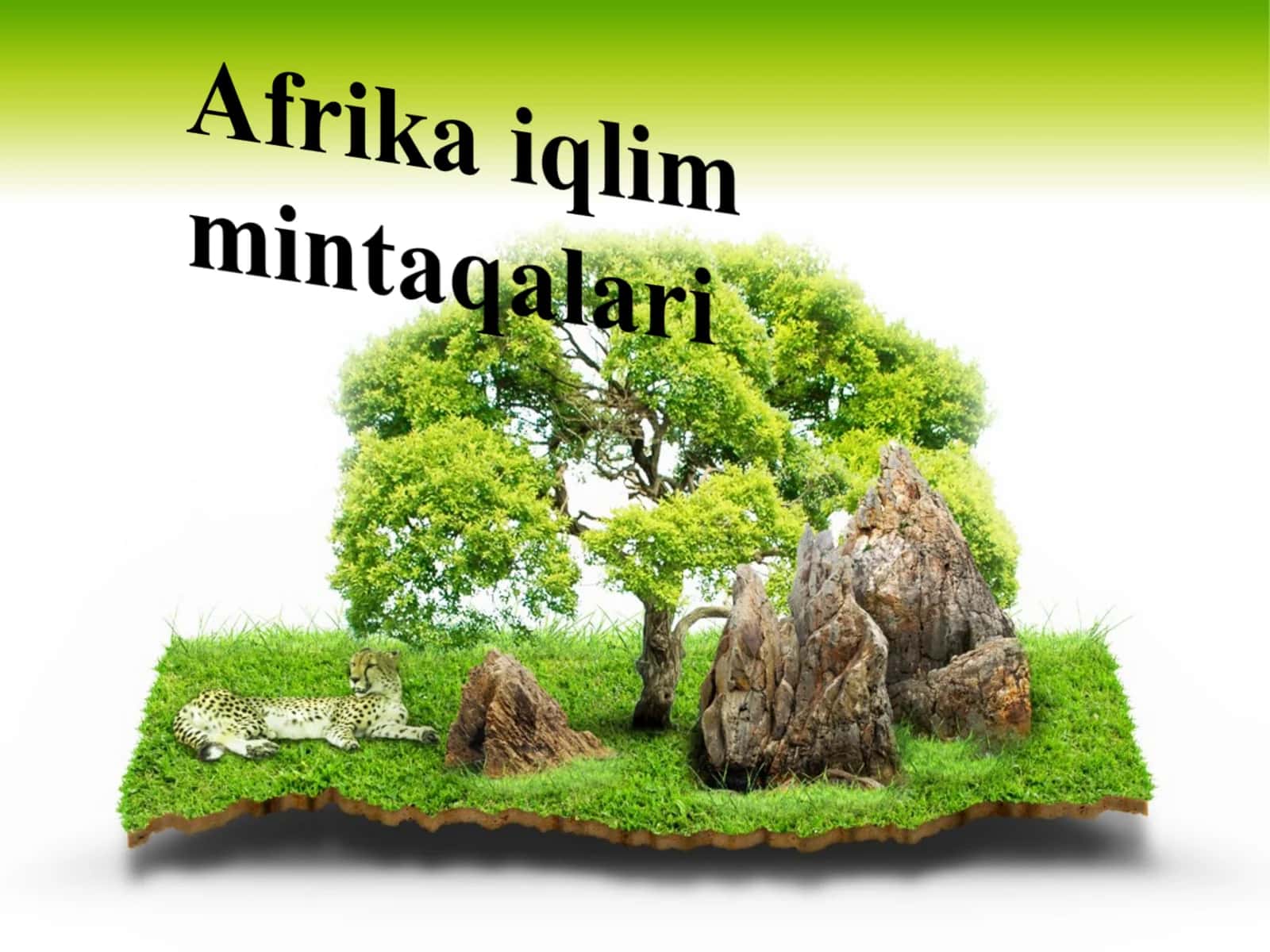 Afrika iqlim mintaqalari