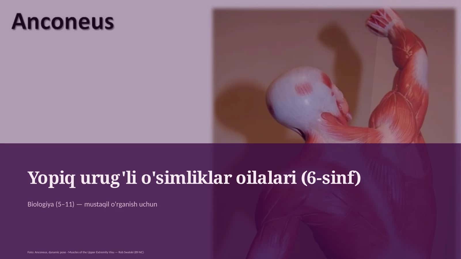 Yopiq urug'li o'simliklar oilalari (6-sinf)
