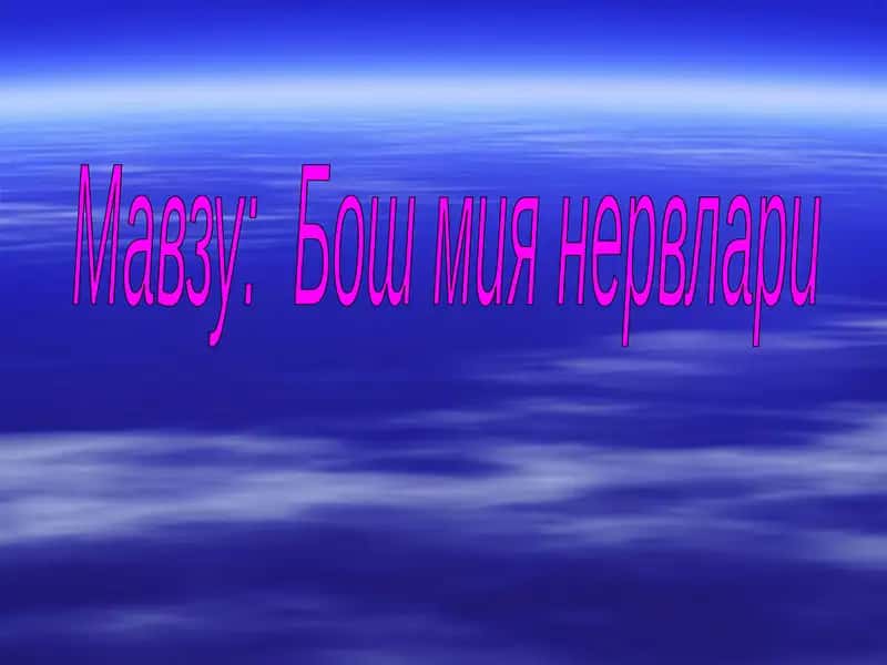 Бош мия нервлари
