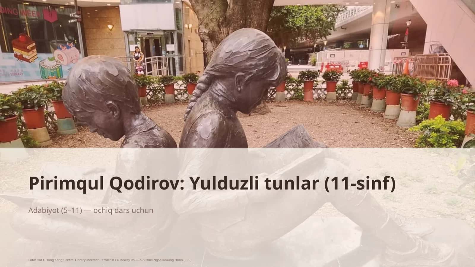 Yulduzli tunlar (11-sinf)