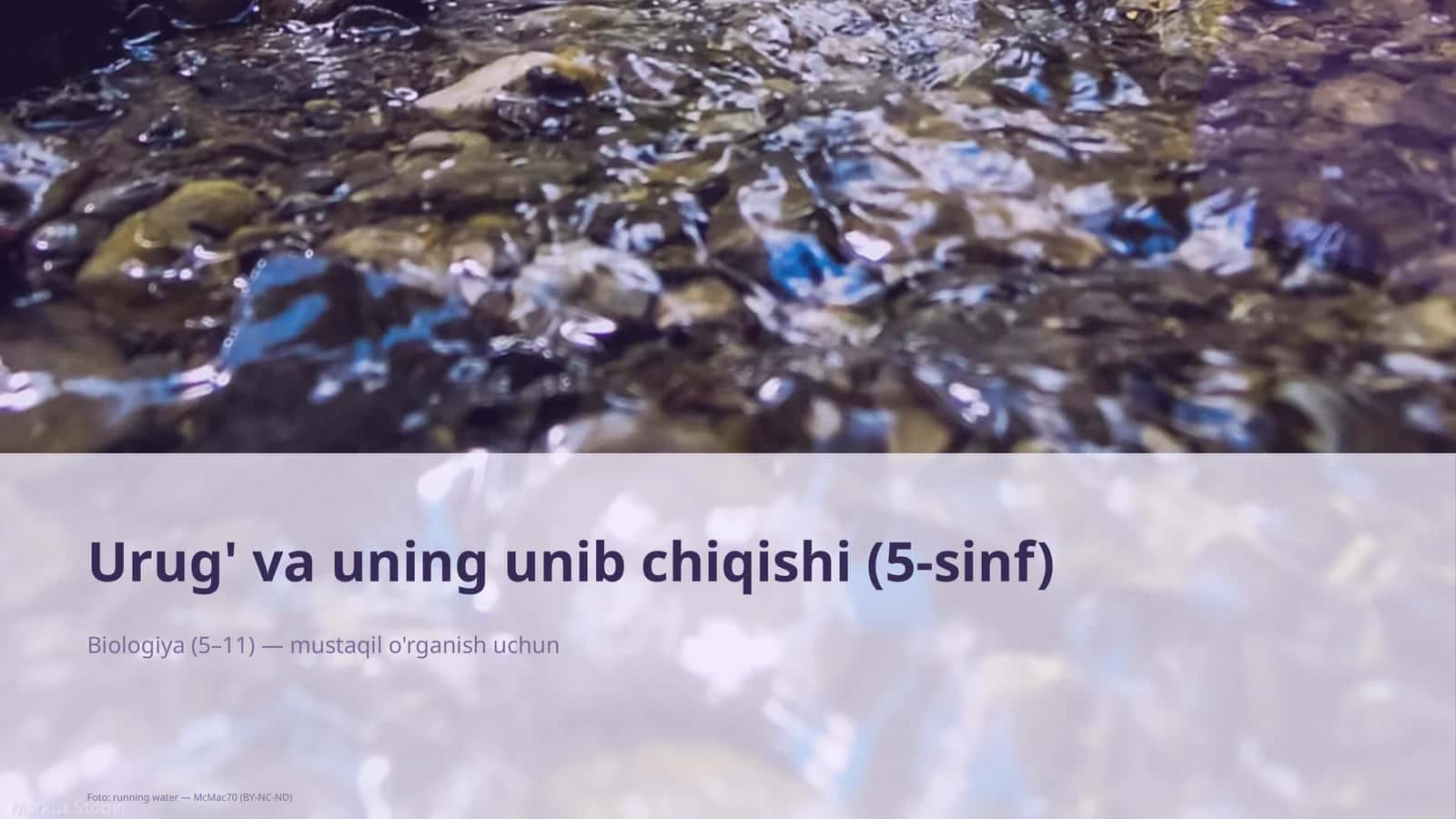 Urug' va uning unib chiqishi (5-sinf)