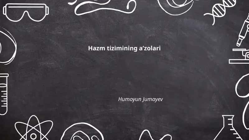 Hazm tizimining aʼzolari