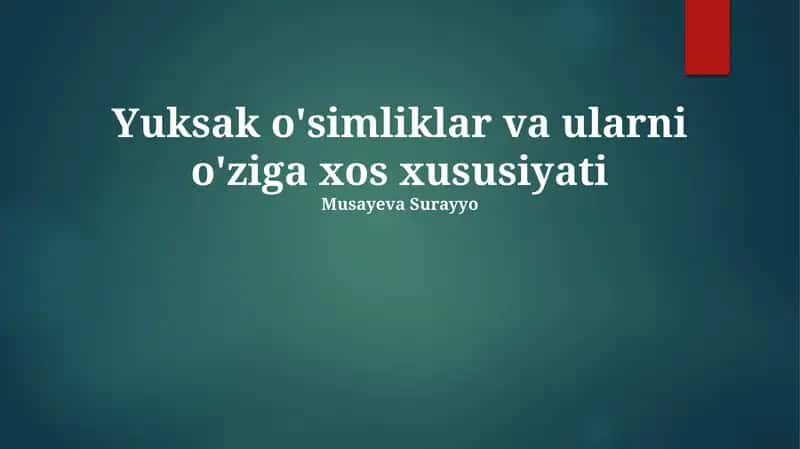 Yuksak o'simliklar va ularni o'ziga xos xususiyati