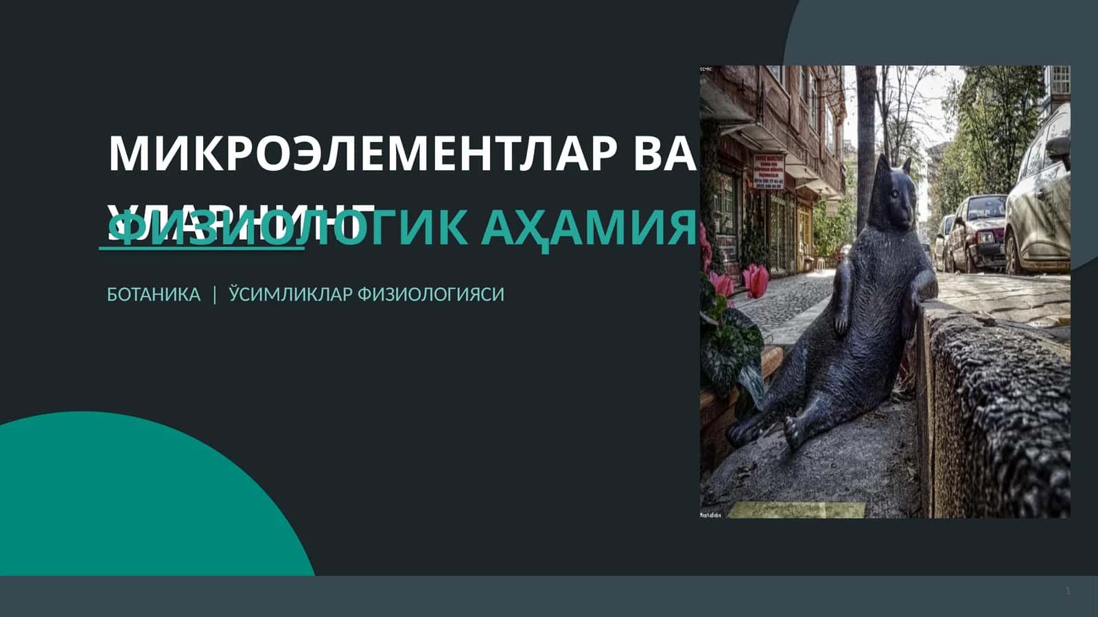 МИКРОЭЛЕМЕНТЛАР ВА УЛАРНИНГ ФИЗИОЛОГИК АҲАМИЯТИ