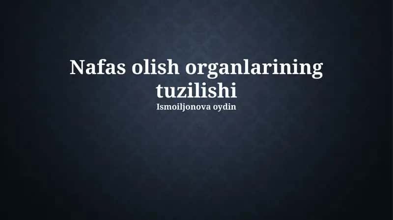 Nafas olish organlarining tuzilishi
