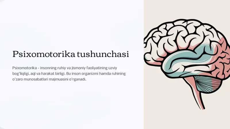Psixomotorika tushunchasi