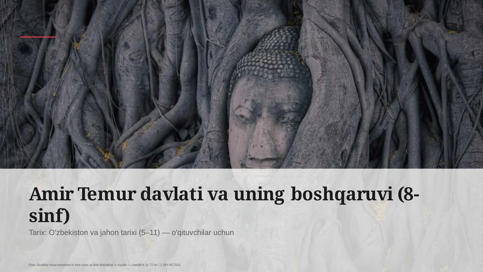 Amir Temur davlati va uning boshqaruvi (8-sinf)