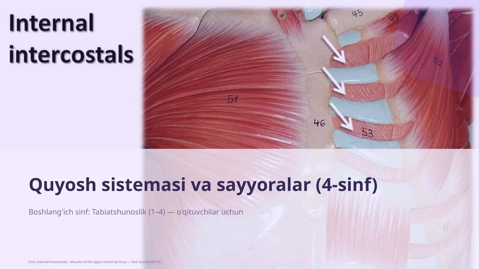 Quyosh sistemasi va sayyoralar (4-sinf)