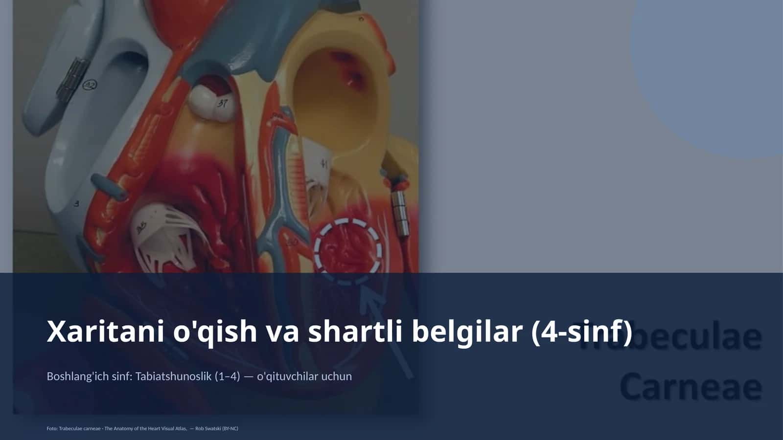 Xaritani o'qish va shartli belgilar (4-sinf)