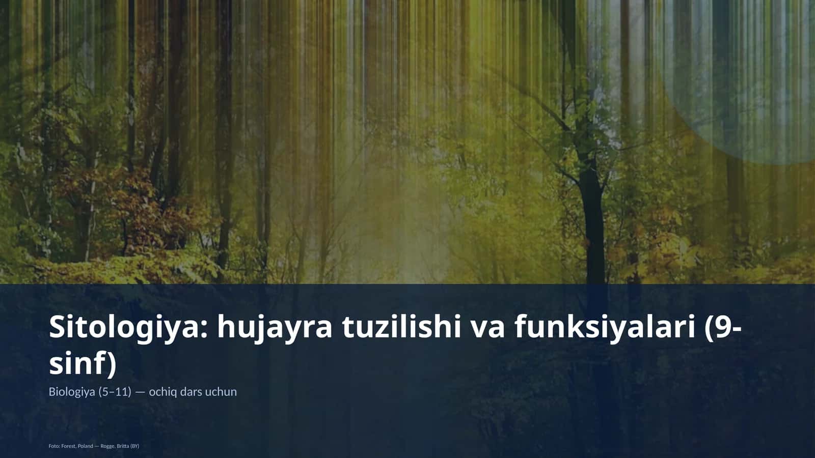 Sitologiya: hujayra tuzilishi va funksiyalari (9-sinf)