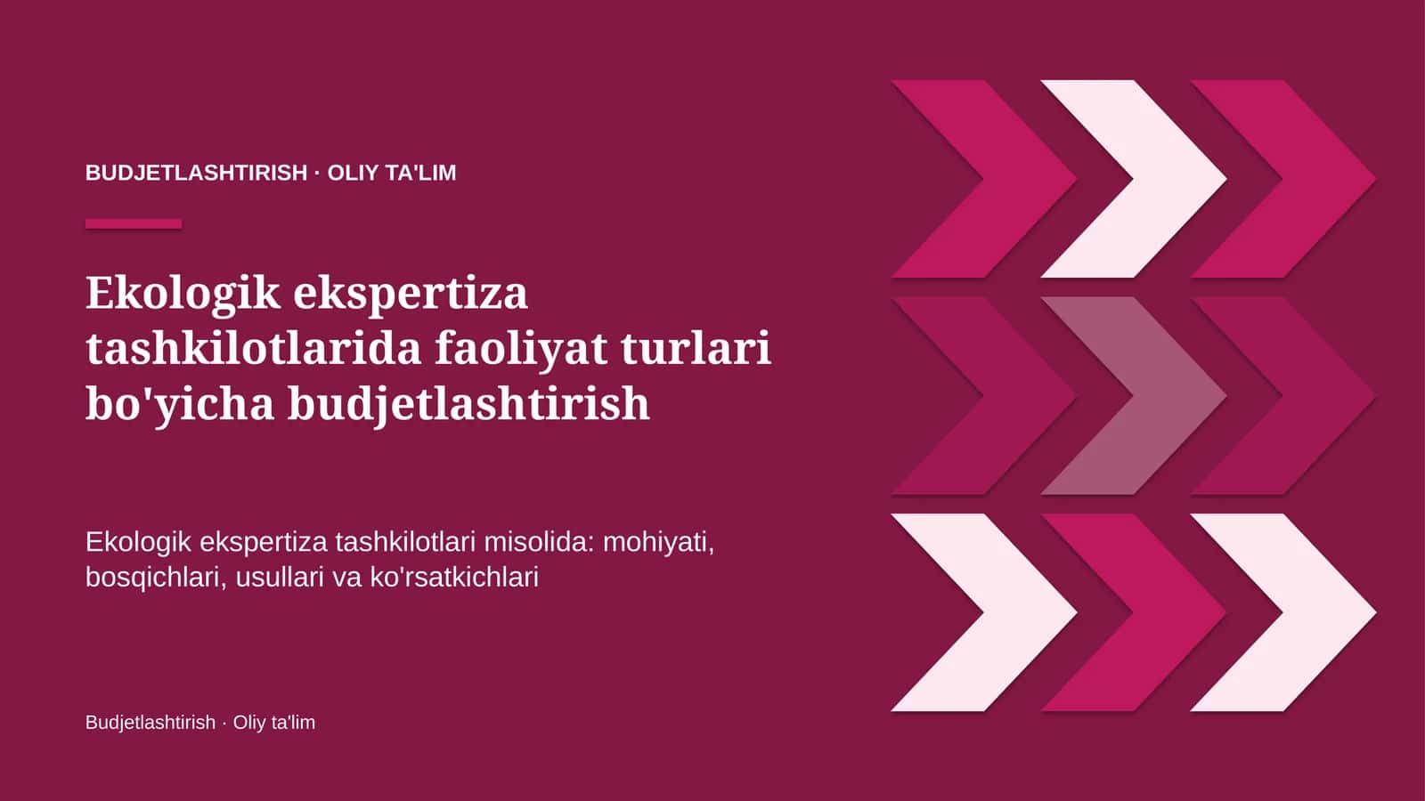 ekologik ekspertiza tashkilotlarida faoliyat turlari bo'yicha budjetlashtirish 1479