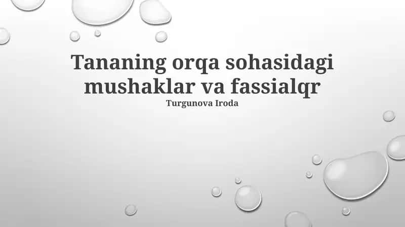 Tananing orqa sohasidagi mushaklar va fassialqr
