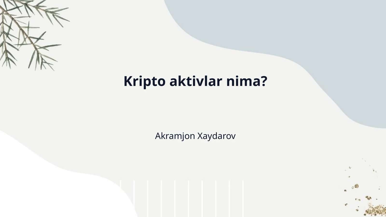 Kripto aktivlar nima?
