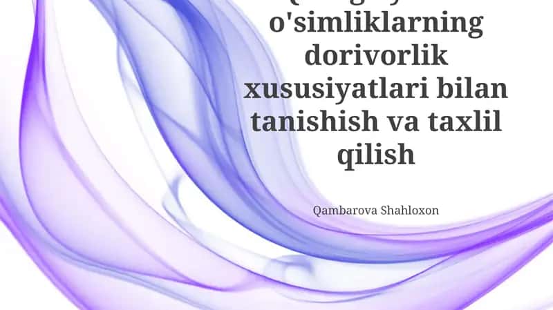 Qarag'ay toifa o'simliklar