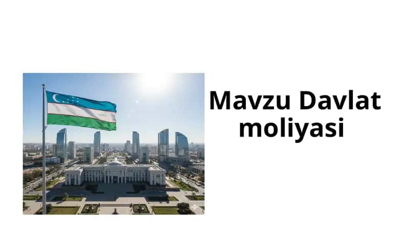 Davlat moliyasi
