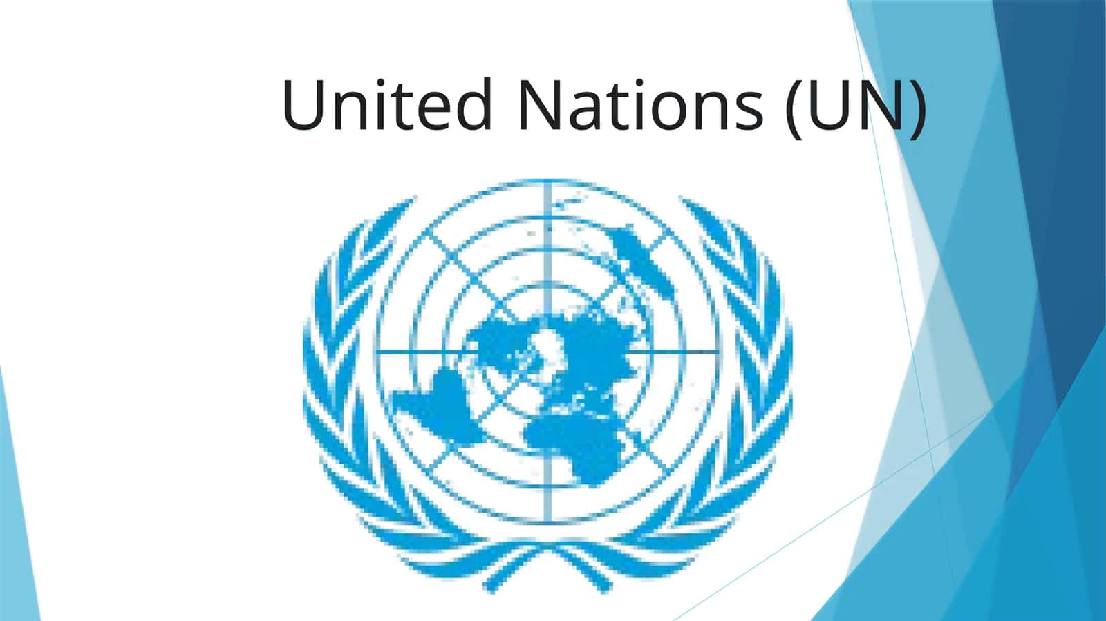 International organization
