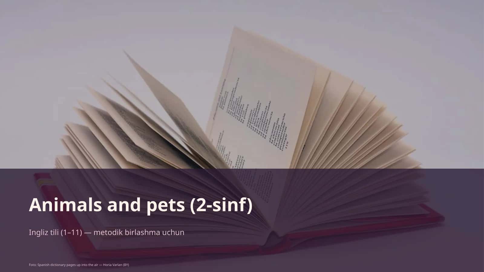 Animals and pets (2-sinf)