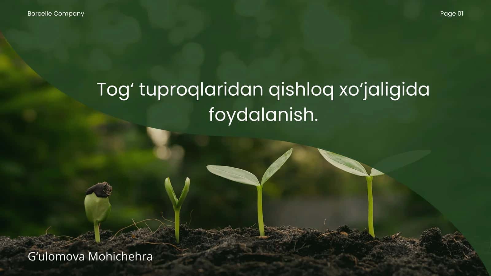 Tog‘ tuproqlaridan qishloq xo‘jaligida foydalanish