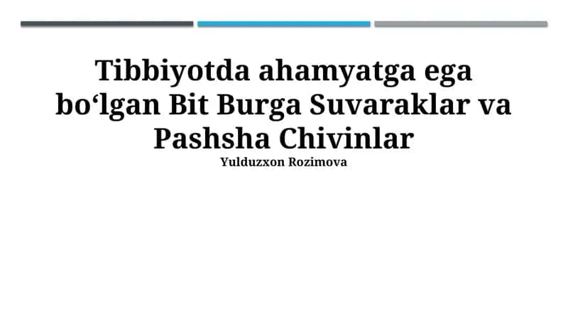 Bit Burga Suvaraklar va Pashsha Chivinlar