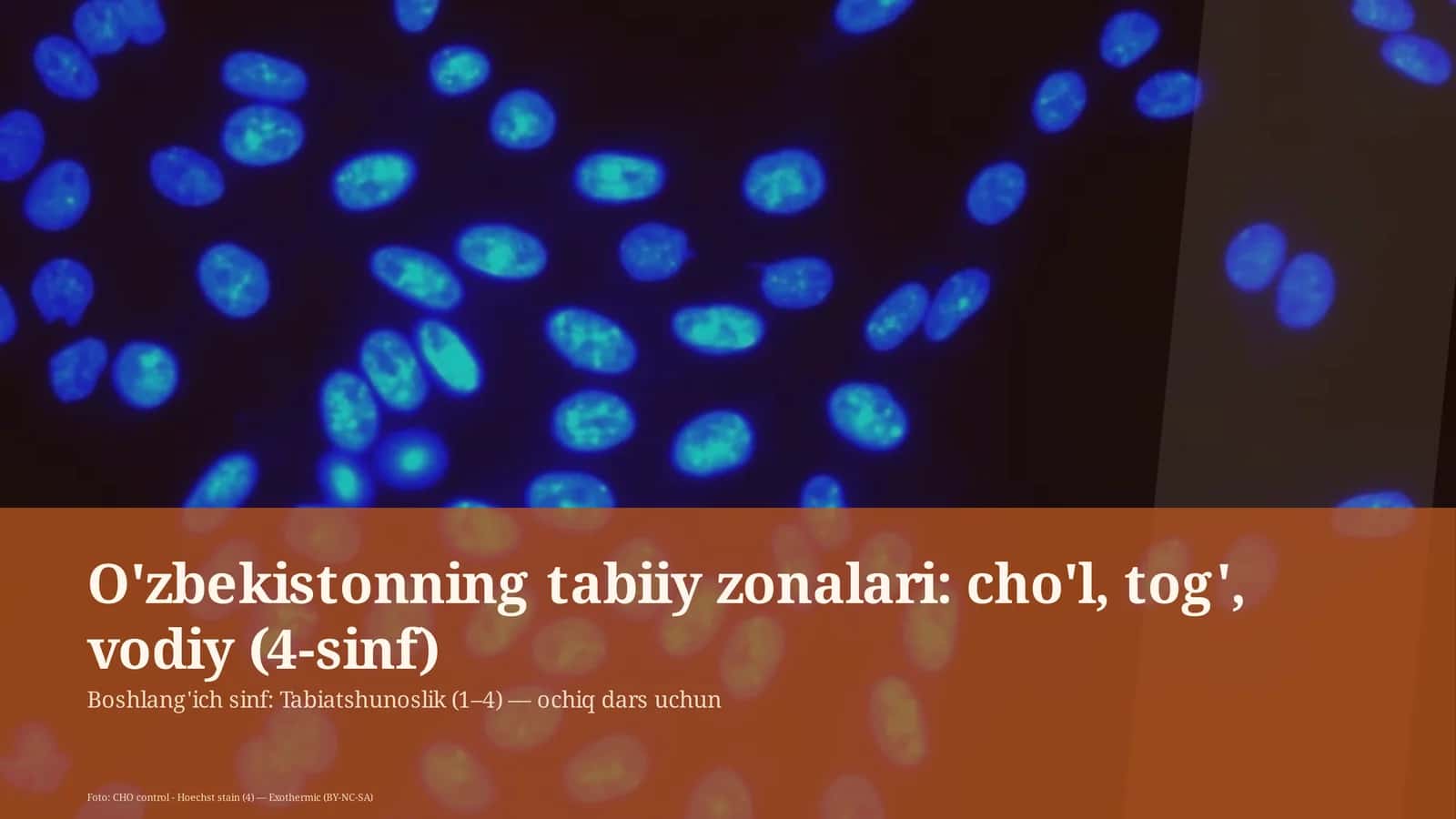 O'zbekistonning tabiiy zonalari: cho'l, tog', vodiy