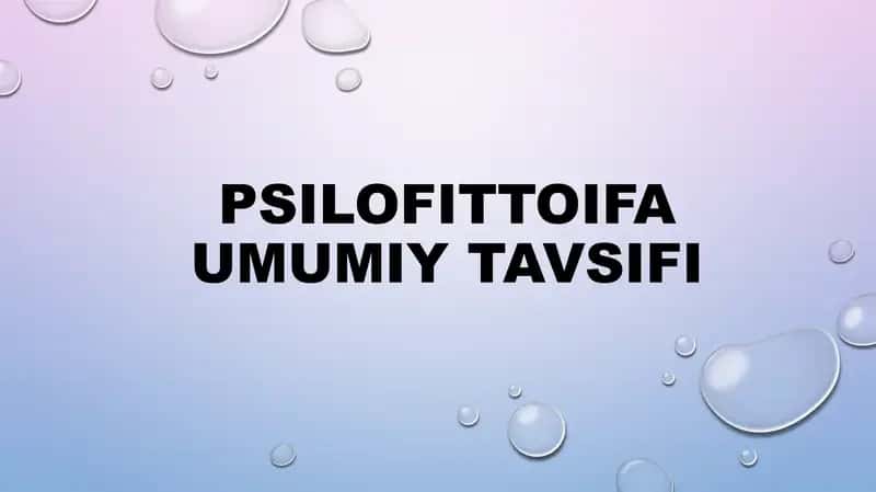 Psilofittoifa umumiy tavsifi