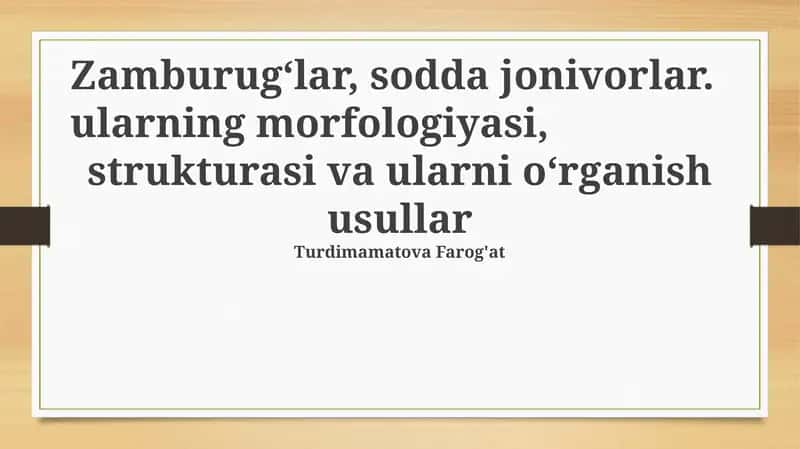 Zamburug‘lar, sodda jonivorlar