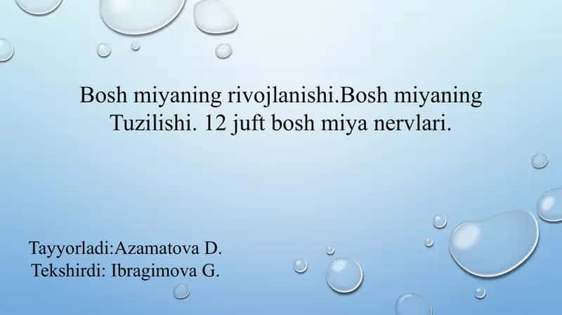 Bosh miya nervlari