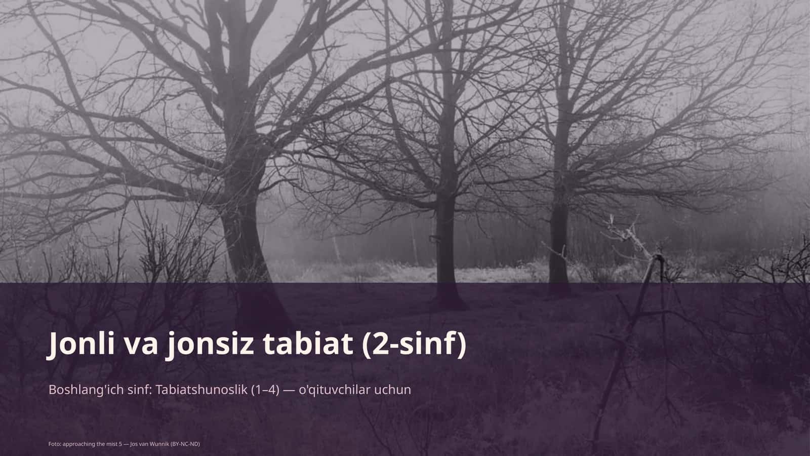 Jonli va jonsiz tabiat (2-sinf)