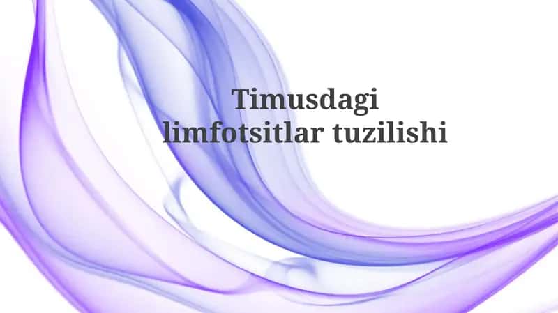 Timusdagi limfotsitlar tuzilishi