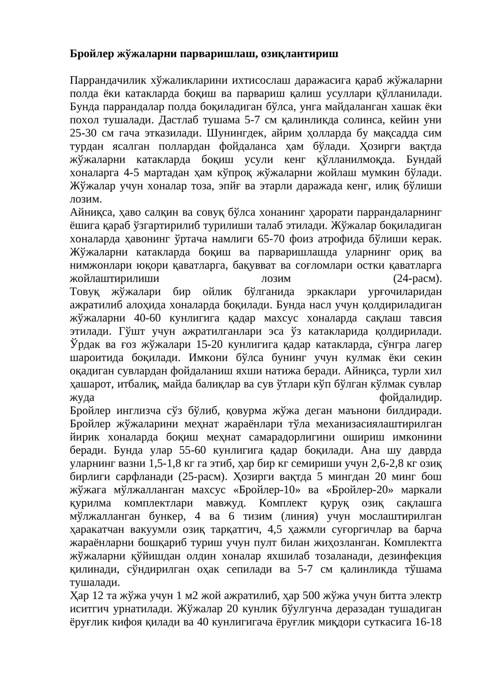 Бройлер жўжаларни парваришлаш, озиқлантириш