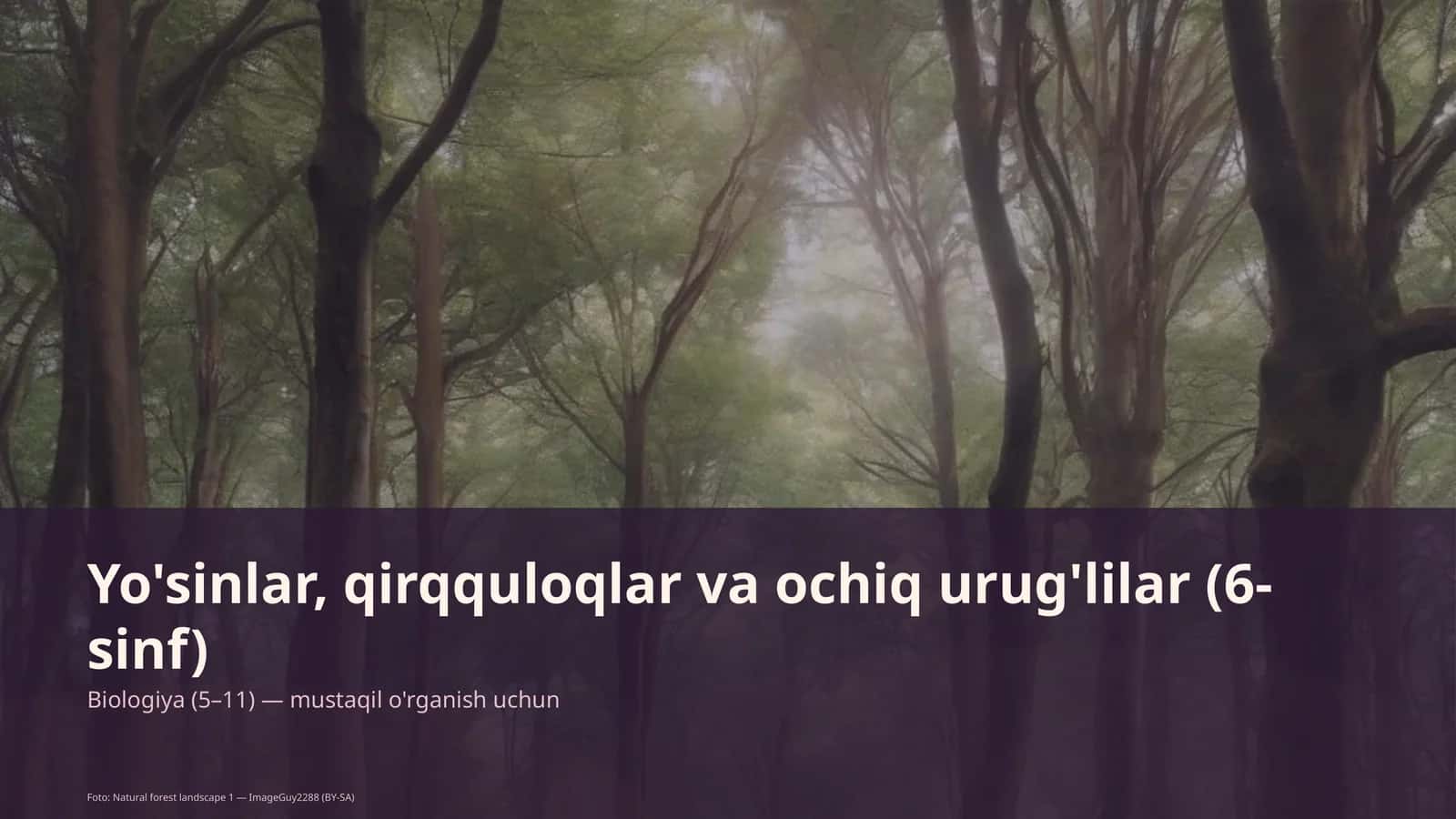 Yo'sinlar, qirqquloqlar va ochiq urug'lilar (6-sinf)