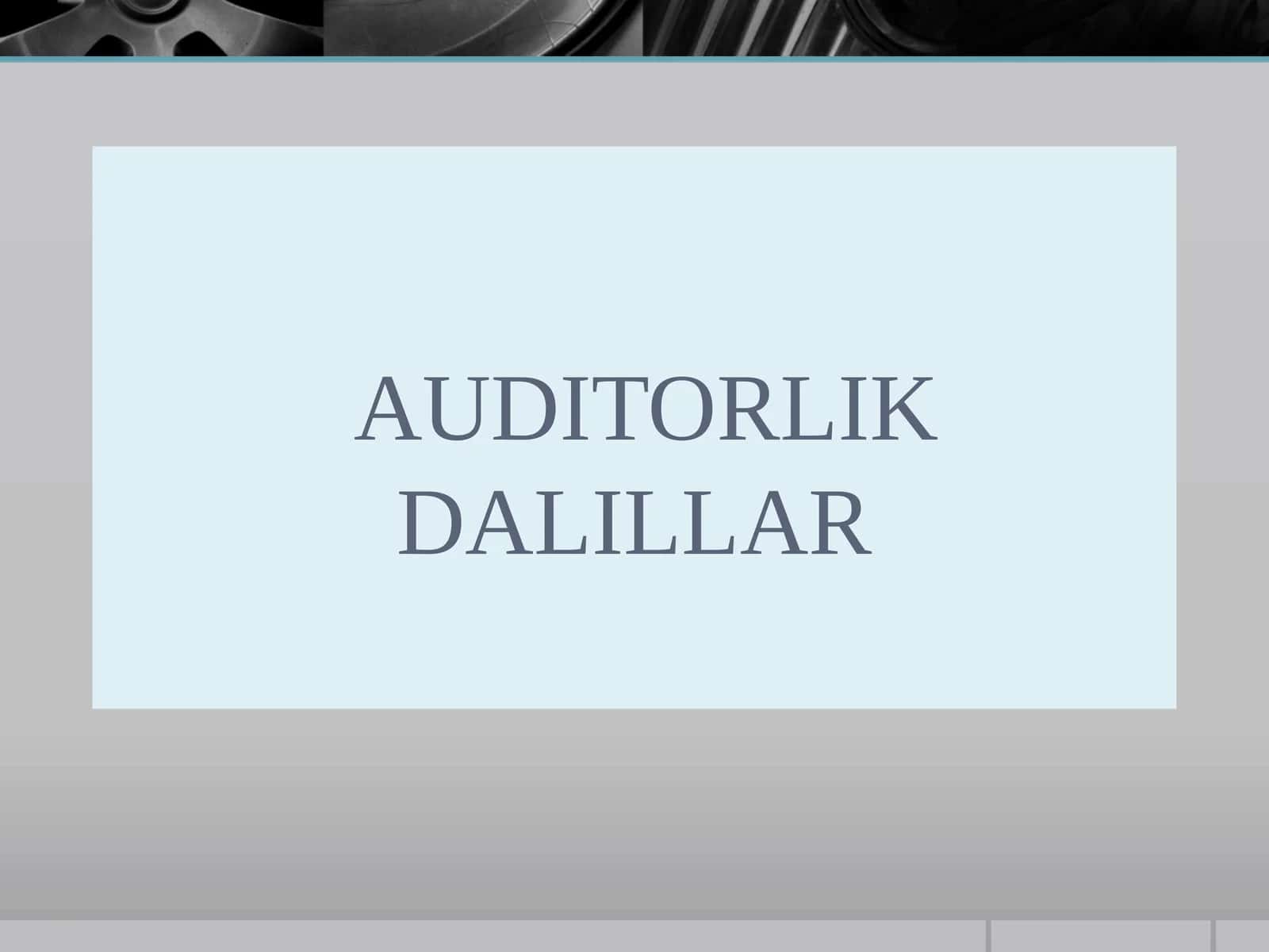 AUDITORLIK DALILLAR