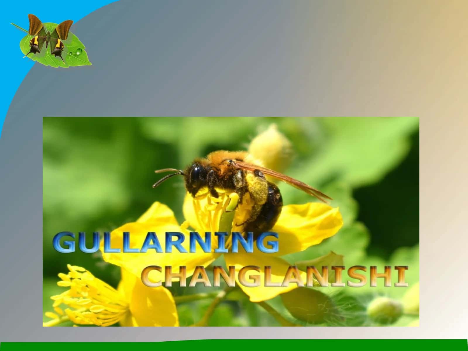 Gullarningchanglanishi