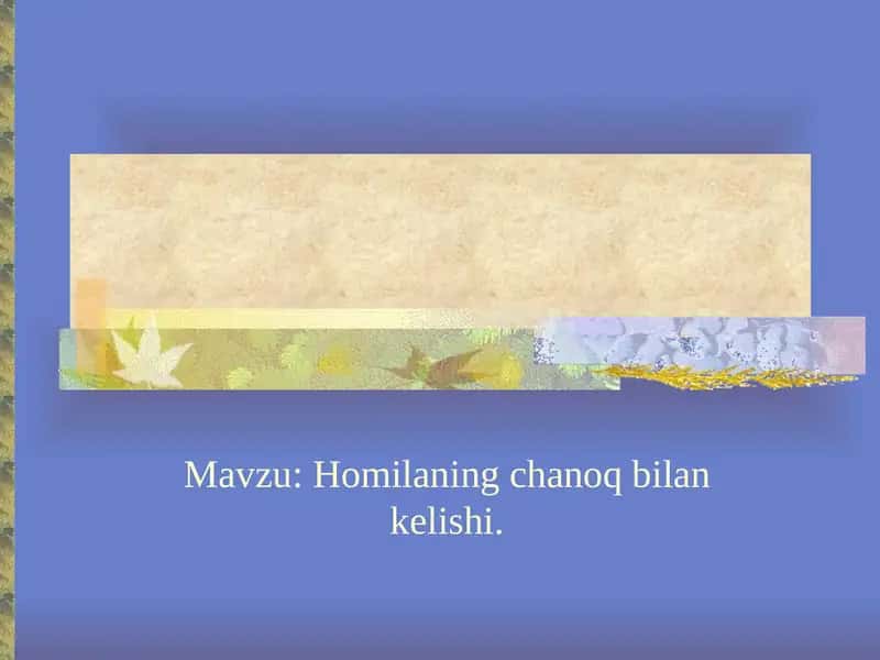 Homilaning chanoq bilan kelishi.