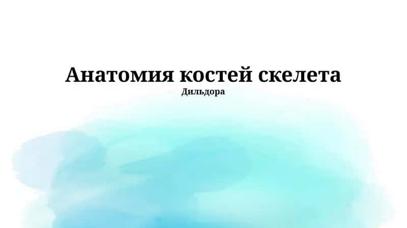 Анатомия костей скелета