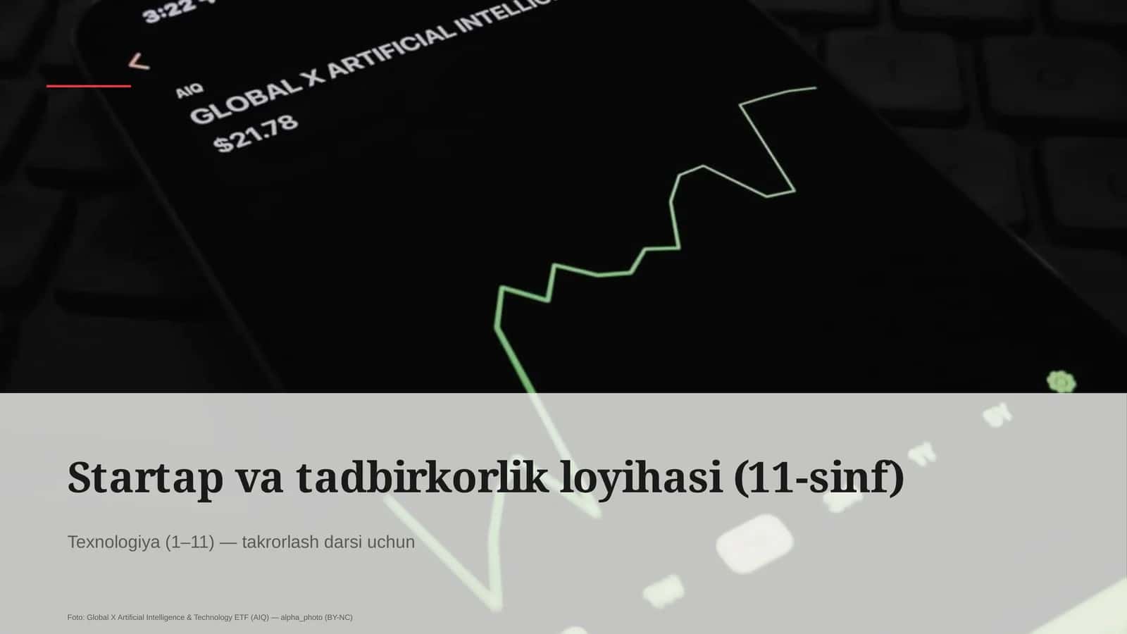 Startap va tadbirkorlik loyihasi (11-sinf)
