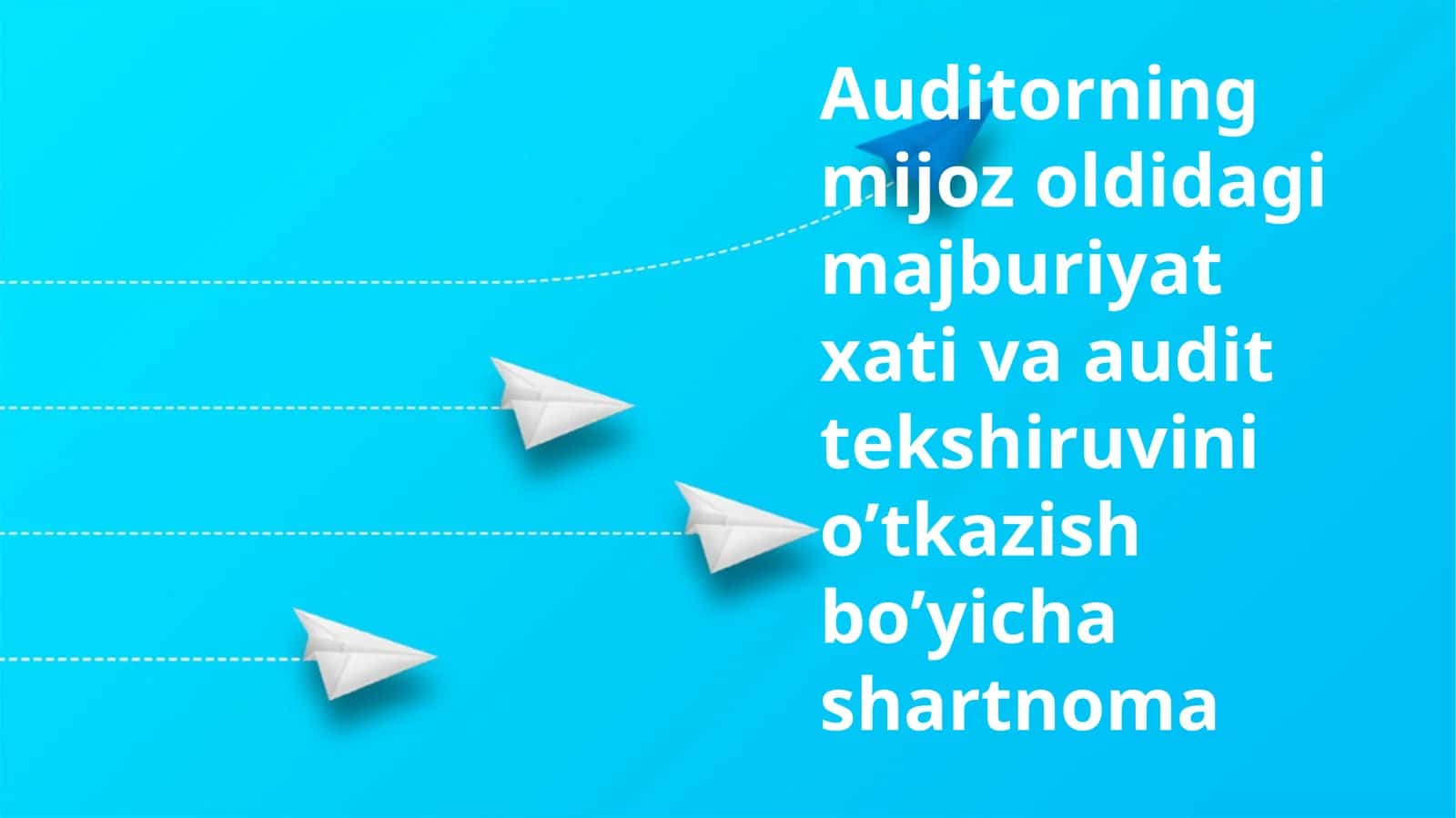 Auditorlik Tekshiruvi va Shartnomalari
