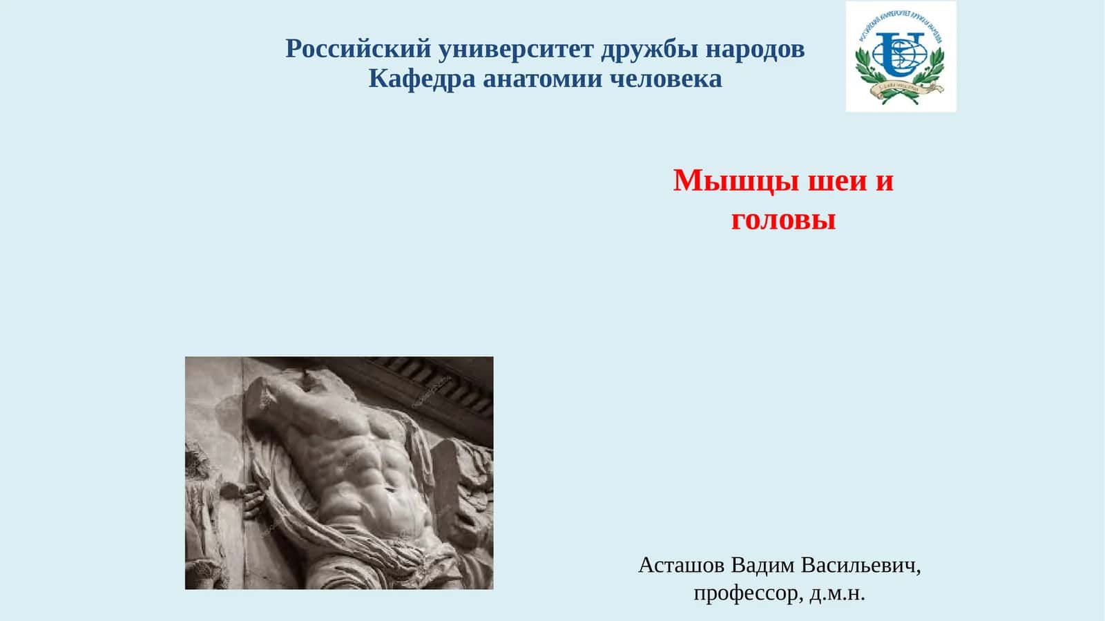 Мышцы шеи и головы