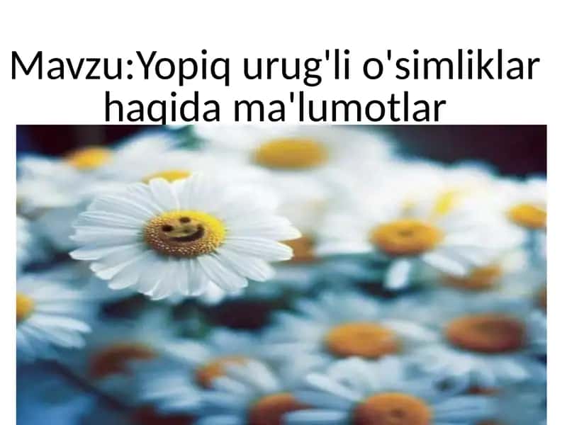 Imom al-Buxoriy