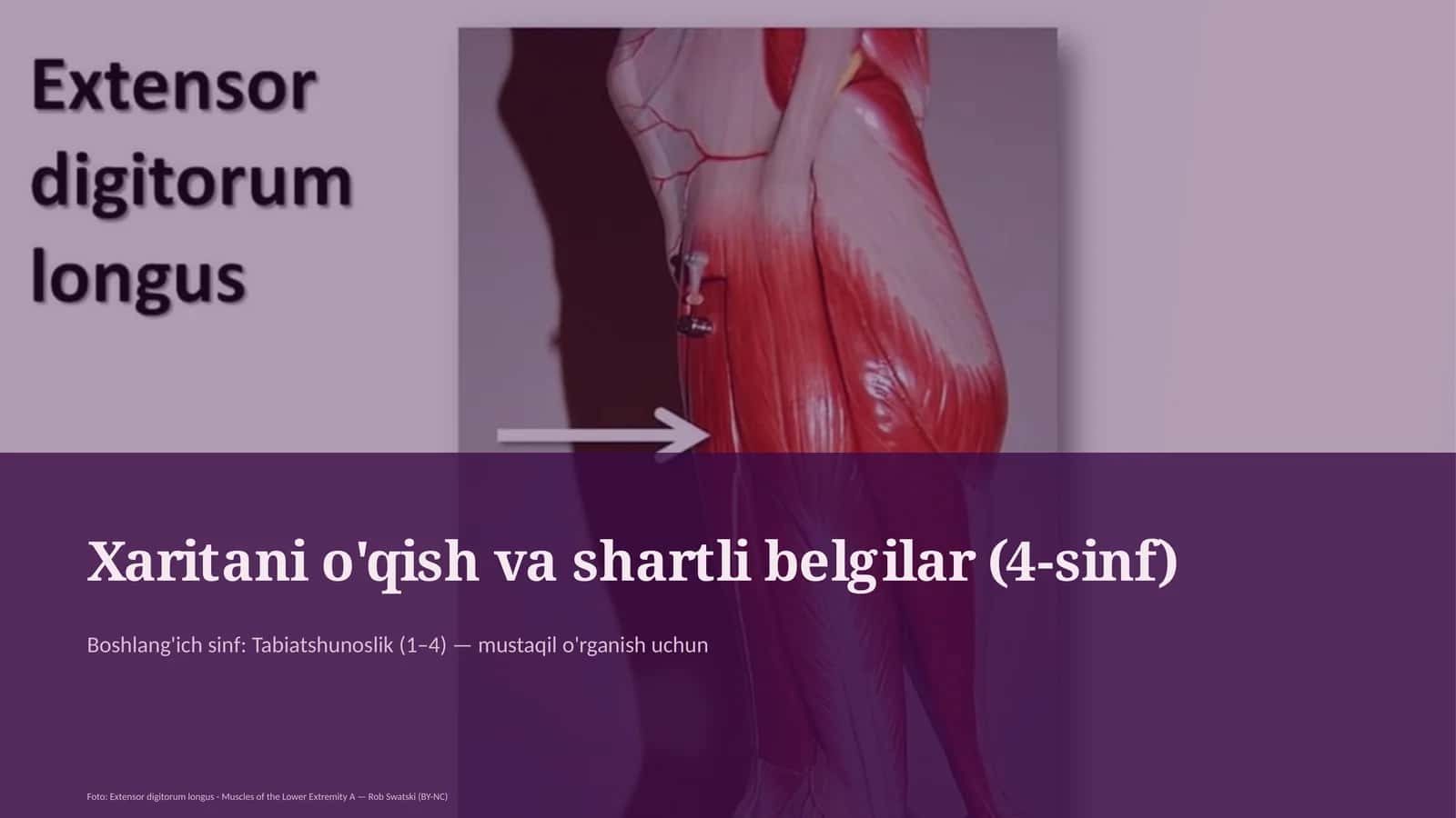 Xaritani o'qish va shartli belgilar (4-sinf)