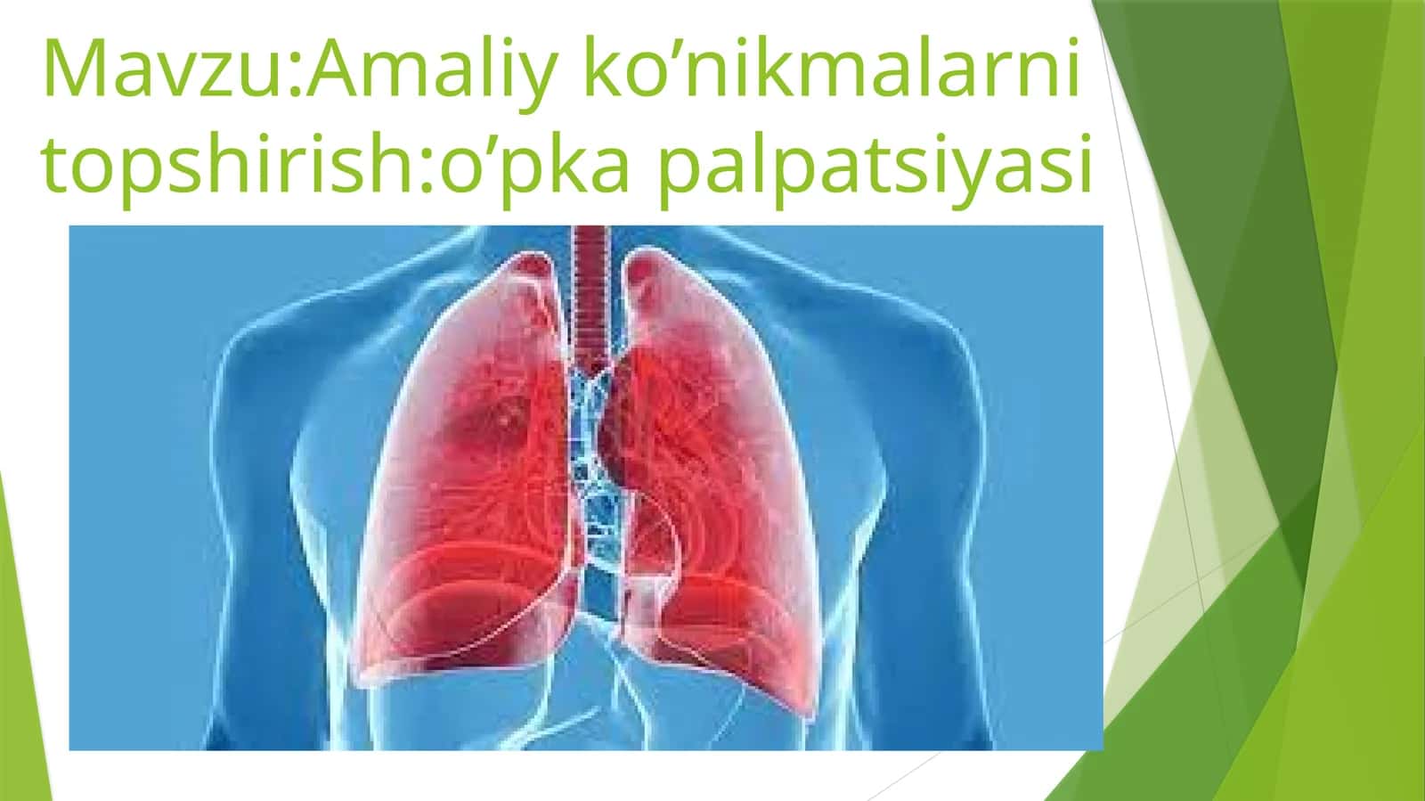 o’pka palpatsiyasi