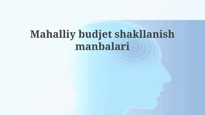 Mahalliy budjet shakllanish manbalari