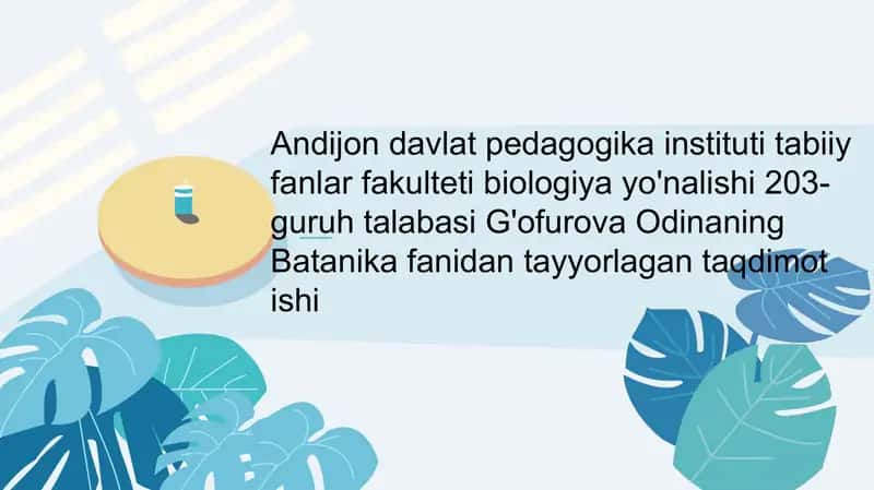 Gingobiloba